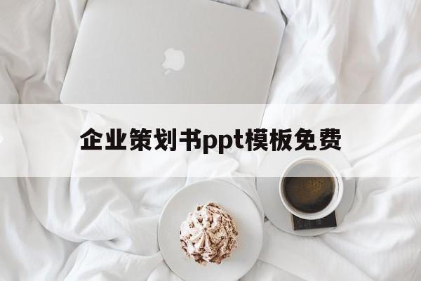 企业策划书ppt模板免费(企业策划书ppt模板免费网站)