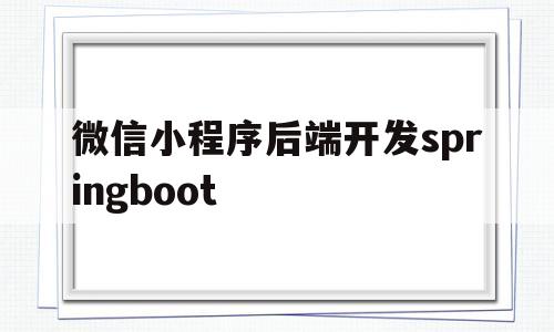 包含微信小程序后端开发springboot的词条