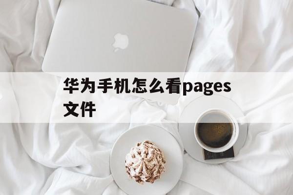 华为手机怎么看pages文件(华为手机怎么看pages文件格式)