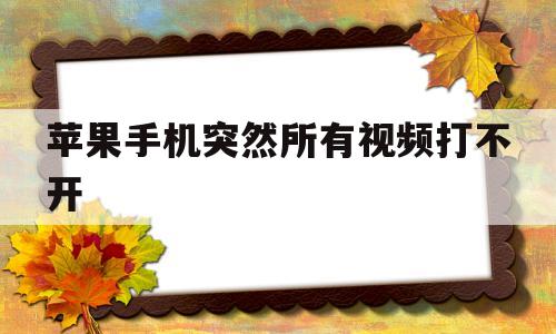 苹果手机突然所有视频打不开(苹果手机突然所有软件都打不开)