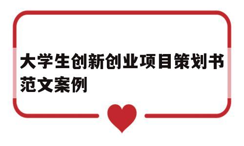 大学生创新创业项目策划书范文案例(大学生创新创业策划书范文1000字)
