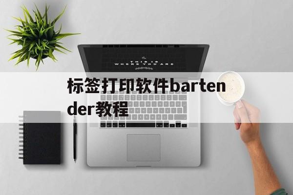 标签打印软件bartender教程(bartender标签打印机打印教程)