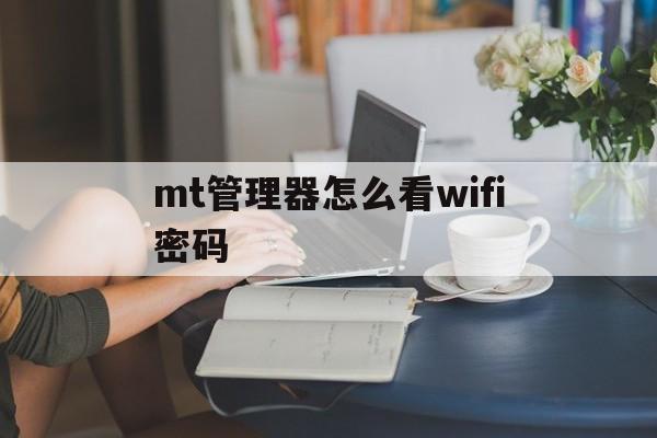 mt管理器怎么看wifi密码(怎么用mt管理器查看wifi密码)