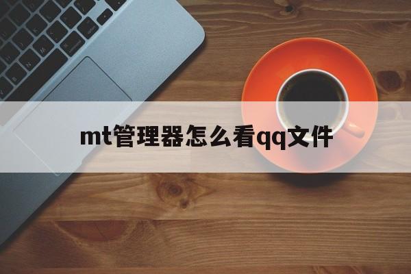 mt管理器怎么看qq文件(mt管理器找不到的安装目录)