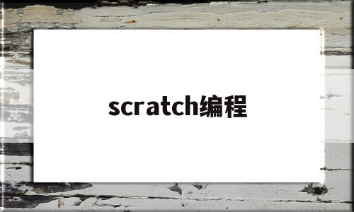 scratch编程(scratch编程能学到什么)