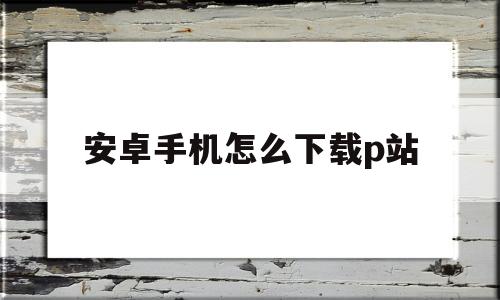安卓手机怎么下载p站(安卓手机怎么下载p站APP)