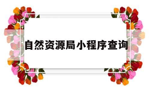 自然资源局小程序查询(自然资源局小程序查询备案信息)