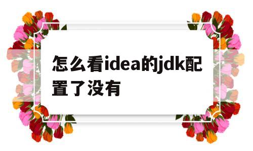 怎么看idea的jdk配置了没有(怎么看自己的idea的jdk装没有)