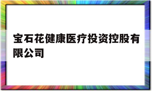 宝石花健康医疗投资控股有限公司的简单介绍