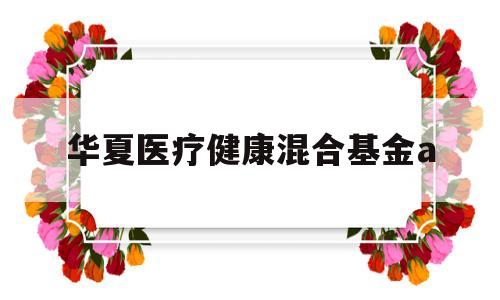华夏医疗健康混合基金a(华夏医疗健康混合型发起式证券投资基金)