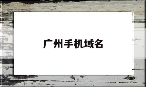 广州手机域名(手机域名什么意思)