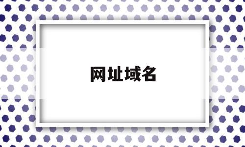 网址域名(网址域名ip解析)