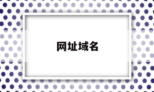 网址域名(网址域名ip解析)