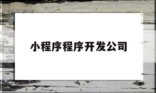 小程序程序开发公司(北京小程序开发程序开发)