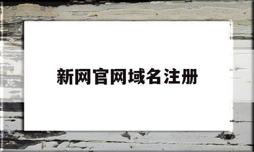 新网官网域名注册(新网域名管理平台登陆)