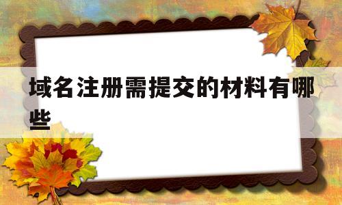 域名注册需提交的材料有哪些(域名注册需提交的材料有哪些呢)