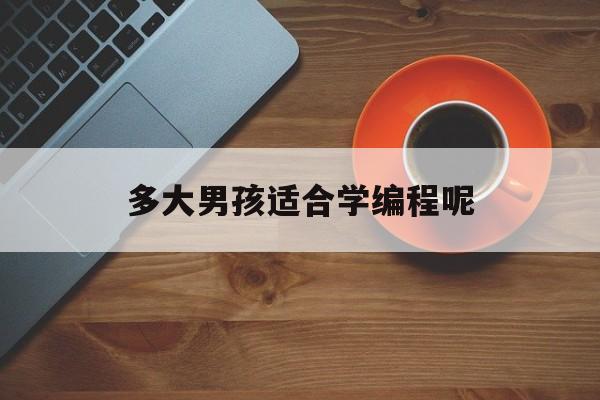 多大男孩适合学编程呢(多大男孩适合学编程呢图片)