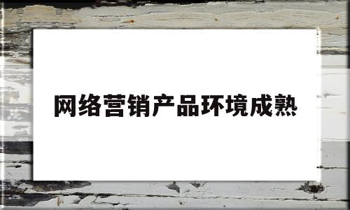 网络营销产品环境成熟(网络营销的市场环境)