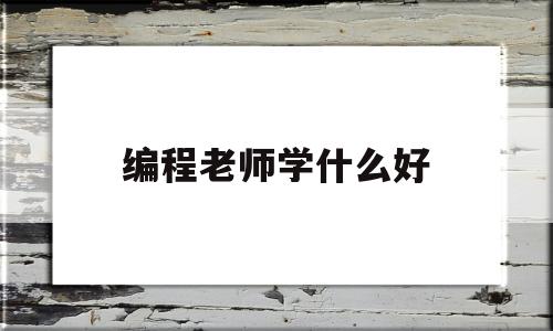 编程老师学什么好(编程老师学什么好找工作)