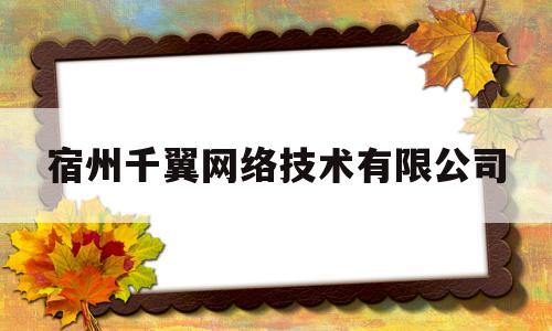 宿州千翼网络技术有限公司(宿州千翼网络技术有限公司招聘)