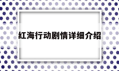 关于红海行动剧情详细介绍的信息