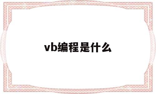 vb编程是什么(vb编程是什么水平)