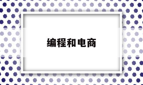 编程和电商(编程电商工作是什么)