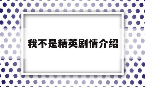 我不是精英剧情介绍(电视连续剧我不是精英剧情介绍)