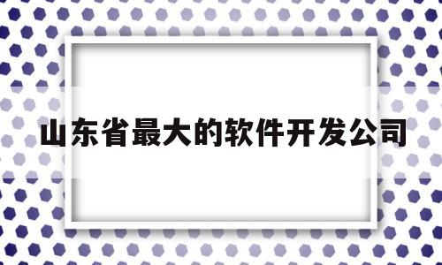 山东省最大的软件开发公司(山东省最大的软件开发公司是哪家)
