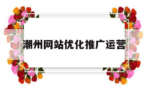 包含潮州网站优化推广运营的词条