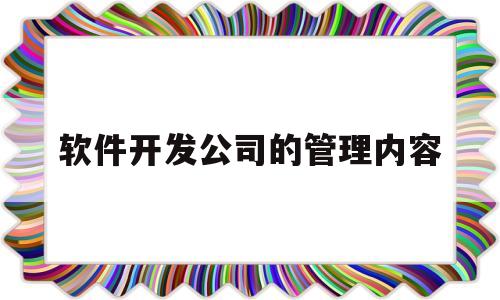 软件开发公司的管理内容(软件开发公司组织架构及部门职责)