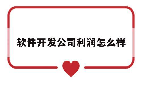 软件开发公司利润怎么样(软件开发公司利润怎么样啊)