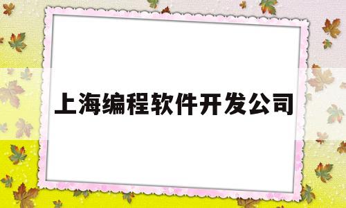 上海编程软件开发公司(上海编程软件开发公司有哪些)