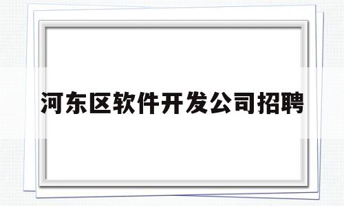 河东区软件开发公司招聘(河东区软件开发公司招聘信息)