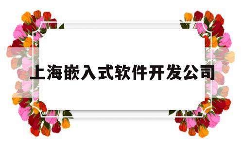上海嵌入式软件开发公司(上海嵌入式软件开发公司有哪些)