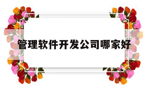 管理软件开发公司哪家好(管理软件开发公司哪家好一些)