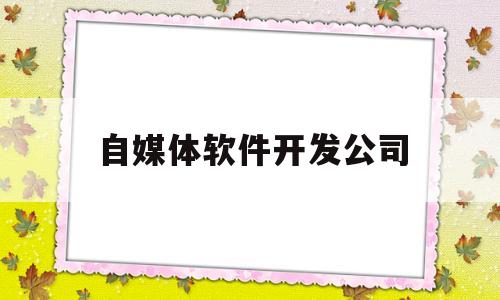 自媒体软件开发公司(融媒体软件开发是什么)