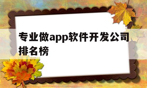 专业做app软件开发公司排名榜(专业做app软件开发公司排名榜单)