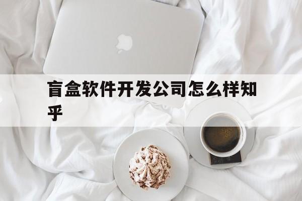 盲盒软件开发公司怎么样知乎的简单介绍