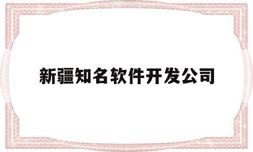 新疆知名软件开发公司(新疆知名软件开发公司有哪些)