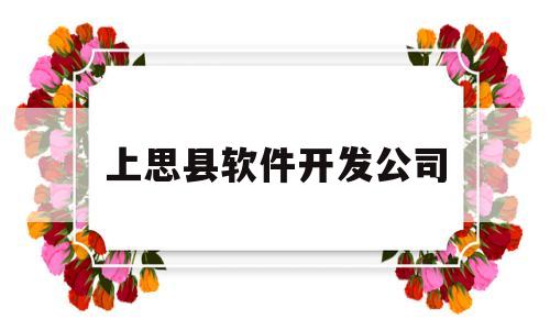 上思县软件开发公司(上思县软件开发公司有哪些)