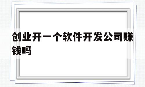 创业开一个软件开发公司赚钱吗(创业开一个软件开发公司赚钱吗知乎)