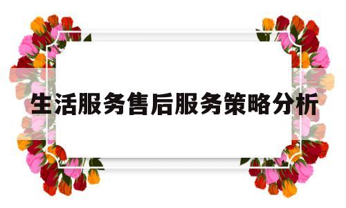 生活服务售后服务策略分析(生活服务售后服务策略分析怎么写)