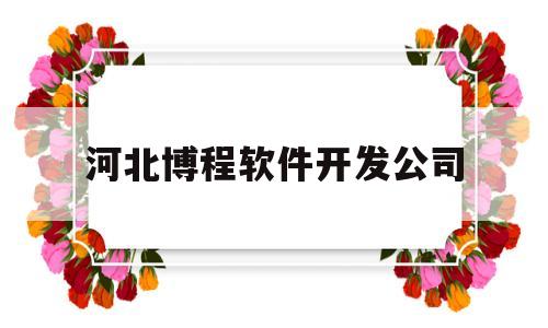 河北博程软件开发公司(河北博程管业制造有限公司)