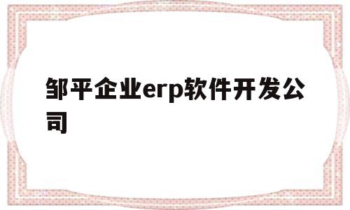 邹平企业erp软件开发公司的简单介绍