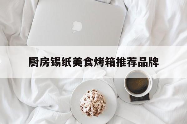 厨房锡纸美食烤箱推荐品牌(中国厨房锡纸品牌排行前十名)