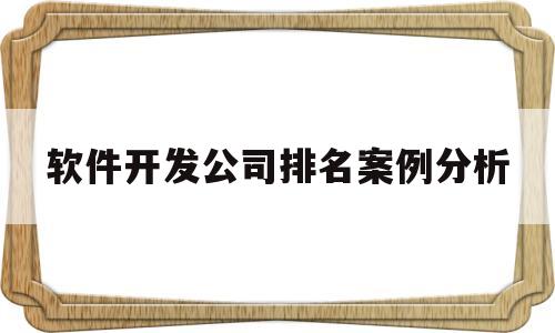 软件开发公司排名案例分析(软件开发公司排名案例分析怎么写)