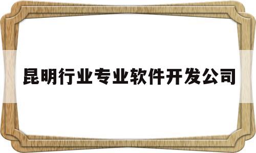 昆明行业专业软件开发公司(昆明行业专业软件开发公司有哪些)