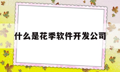 包含什么是花季软件开发公司的词条