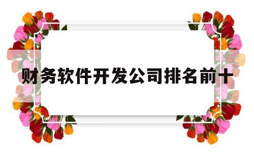 财务软件开发公司排名前十的简单介绍